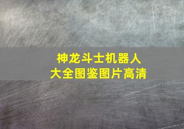 神龙斗士机器人大全图鉴图片高清