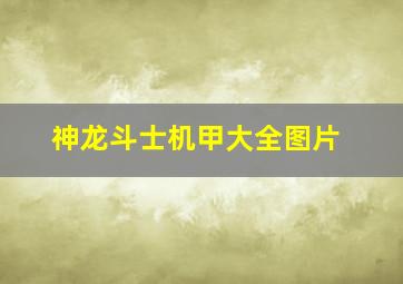 神龙斗士机甲大全图片