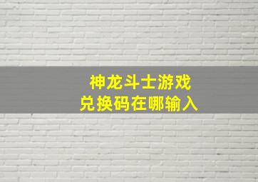 神龙斗士游戏兑换码在哪输入