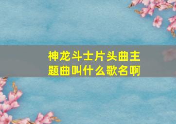 神龙斗士片头曲主题曲叫什么歌名啊