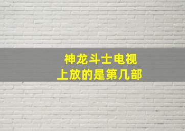 神龙斗士电视上放的是第几部