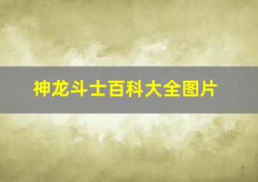 神龙斗士百科大全图片