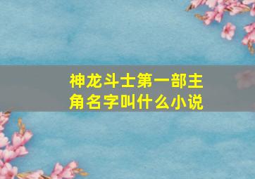 神龙斗士第一部主角名字叫什么小说