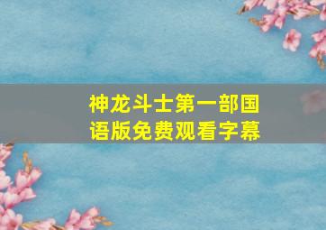 神龙斗士第一部国语版免费观看字幕