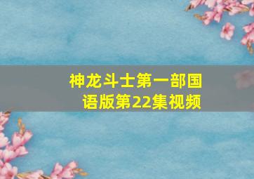 神龙斗士第一部国语版第22集视频