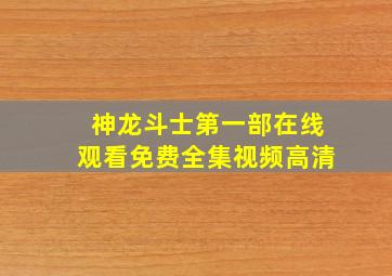 神龙斗士第一部在线观看免费全集视频高清