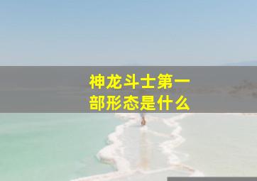 神龙斗士第一部形态是什么