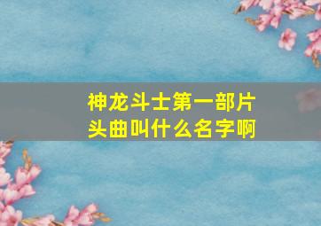 神龙斗士第一部片头曲叫什么名字啊