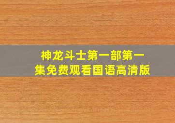 神龙斗士第一部第一集免费观看国语高清版