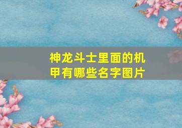 神龙斗士里面的机甲有哪些名字图片