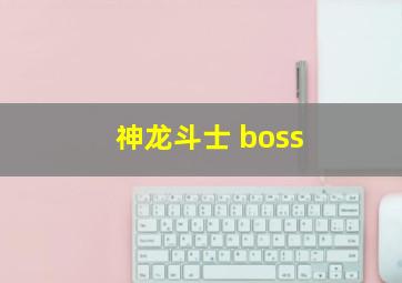 神龙斗士 boss