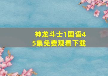 神龙斗士1国语45集免费观看下载