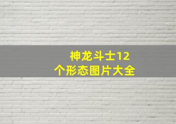 神龙斗士12个形态图片大全