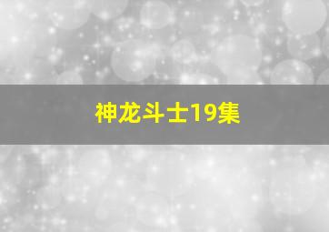 神龙斗士19集