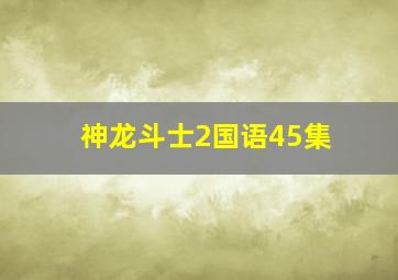 神龙斗士2国语45集