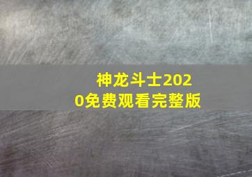 神龙斗士2020免费观看完整版