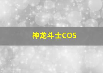 神龙斗士COS