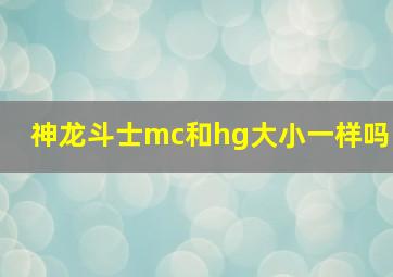 神龙斗士mc和hg大小一样吗