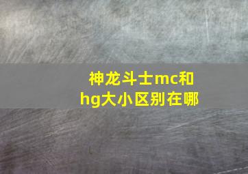 神龙斗士mc和hg大小区别在哪