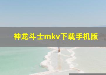 神龙斗士mkv下载手机版