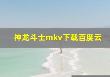 神龙斗士mkv下载百度云