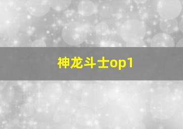 神龙斗士op1