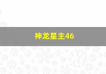 神龙星主46