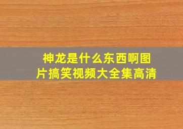 神龙是什么东西啊图片搞笑视频大全集高清