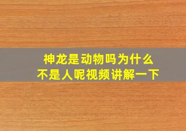 神龙是动物吗为什么不是人呢视频讲解一下