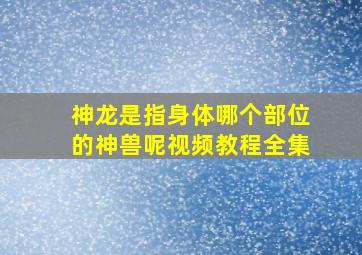 神龙是指身体哪个部位的神兽呢视频教程全集