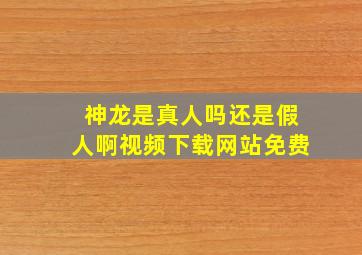 神龙是真人吗还是假人啊视频下载网站免费