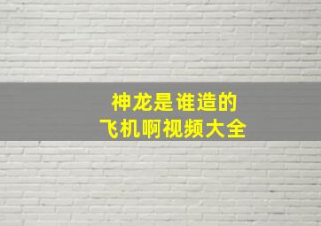 神龙是谁造的飞机啊视频大全