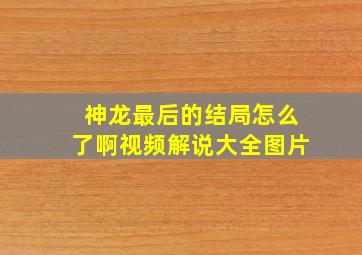 神龙最后的结局怎么了啊视频解说大全图片