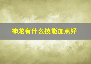 神龙有什么技能加点好