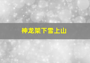 神龙架下雪上山