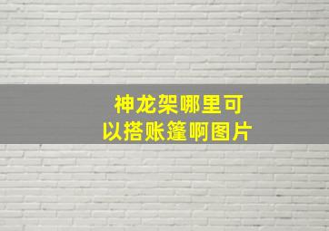 神龙架哪里可以搭账篷啊图片