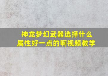 神龙梦幻武器选择什么属性好一点的啊视频教学