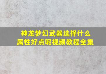 神龙梦幻武器选择什么属性好点呢视频教程全集