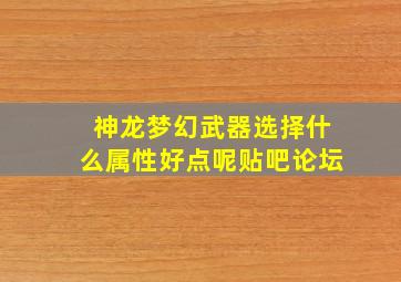 神龙梦幻武器选择什么属性好点呢贴吧论坛