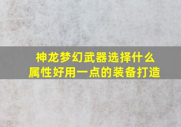 神龙梦幻武器选择什么属性好用一点的装备打造