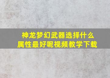 神龙梦幻武器选择什么属性最好呢视频教学下载