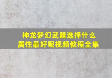 神龙梦幻武器选择什么属性最好呢视频教程全集