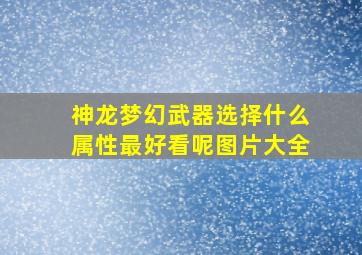 神龙梦幻武器选择什么属性最好看呢图片大全