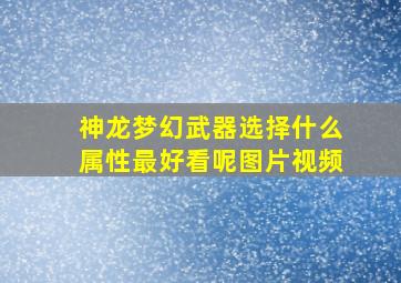 神龙梦幻武器选择什么属性最好看呢图片视频