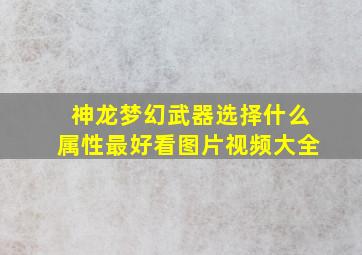 神龙梦幻武器选择什么属性最好看图片视频大全