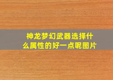 神龙梦幻武器选择什么属性的好一点呢图片