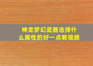 神龙梦幻武器选择什么属性的好一点呢视频