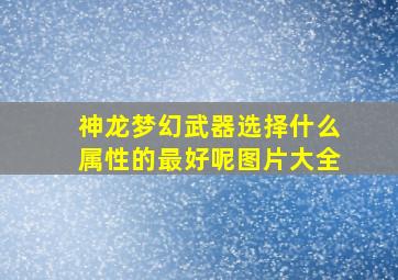 神龙梦幻武器选择什么属性的最好呢图片大全