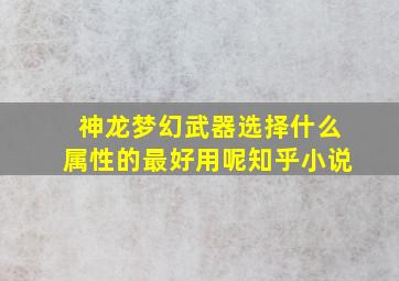 神龙梦幻武器选择什么属性的最好用呢知乎小说