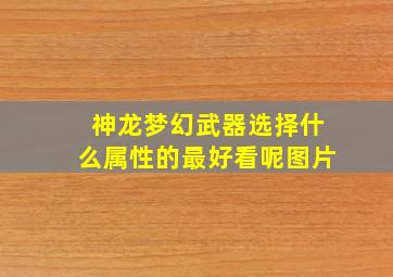 神龙梦幻武器选择什么属性的最好看呢图片